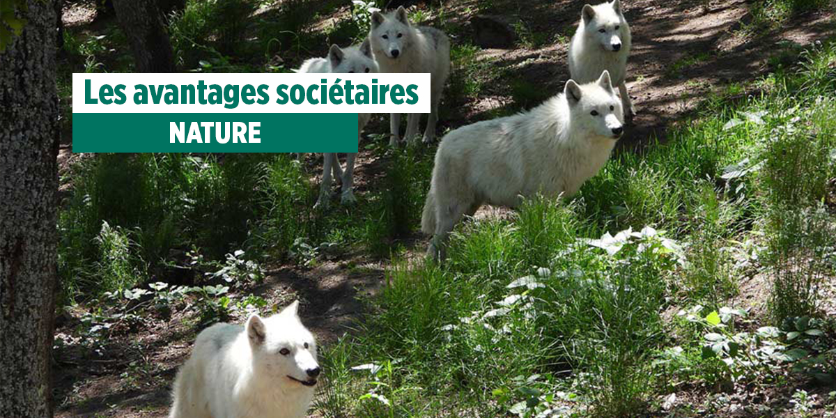 Avantage sociétaire Parc de Courzieu